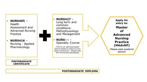Academic Nurse Practitioner