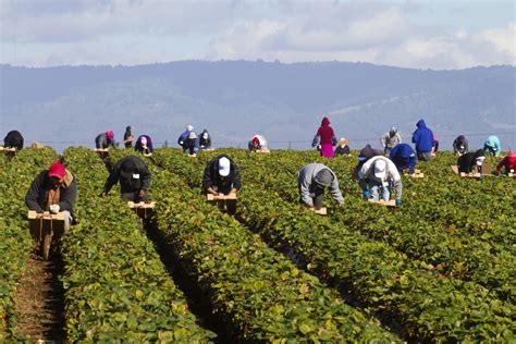 Agricultural Workers