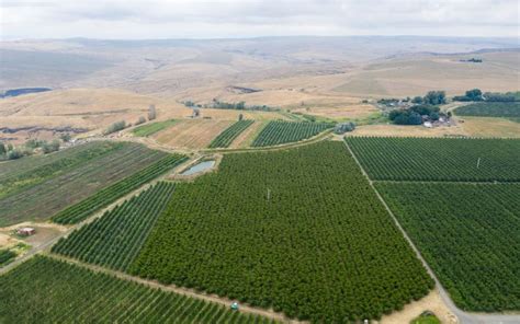 Agriculture Jobs Quincy WA