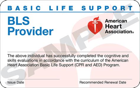 American Heart Association BLS Certification