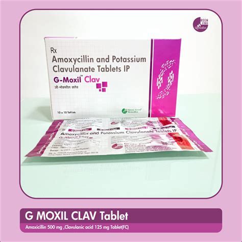 Precautions and contraindications of Amox Clav 500 125 mg