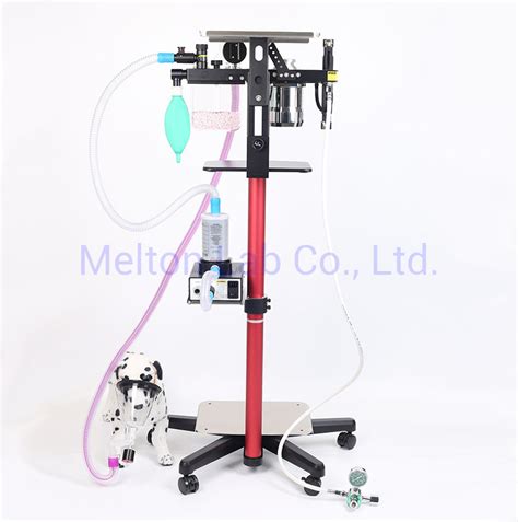 Anesthesia Equipment Specialist