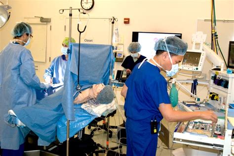 Anesthesiologists' education and training