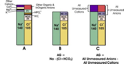 Anion gap interpretation