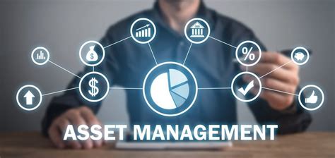 asset manager
