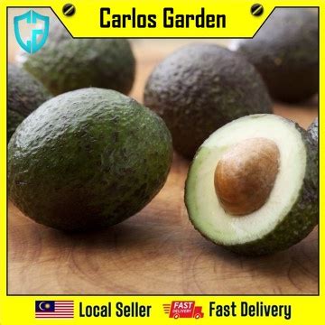 Avocados