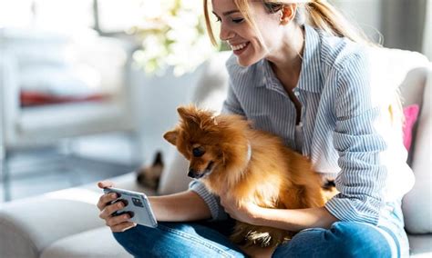 Babysitter or Pet Sitter