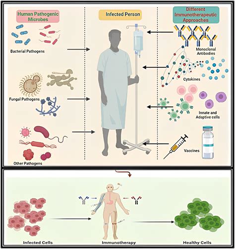 Bacterial infections treatment