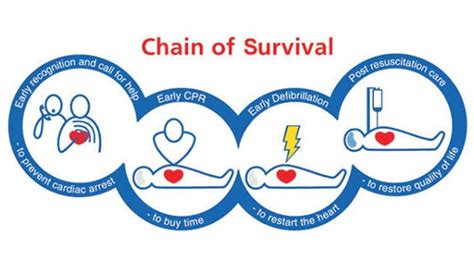 Basic Life Support Exam Guide And Certification