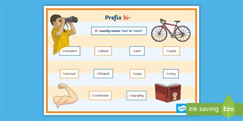 The prefix bi