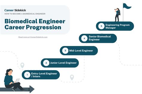 Biomedical Engineering Career Paths