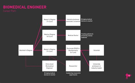 Biomedical Engineering Employment Opportunities