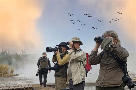 birdwatching in Union Bay Natural Area