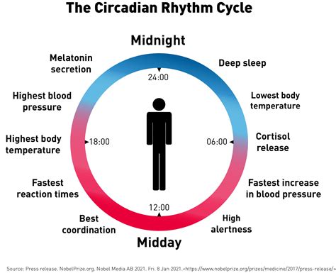 Body Rhythm