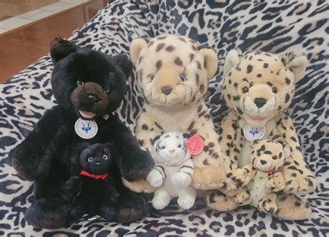 Stuff Your Animal