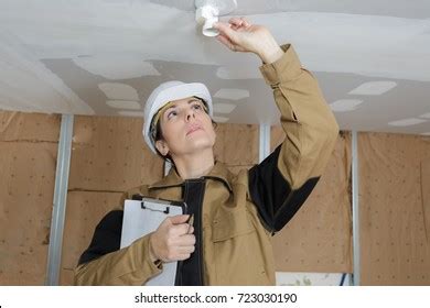 Building Inspector