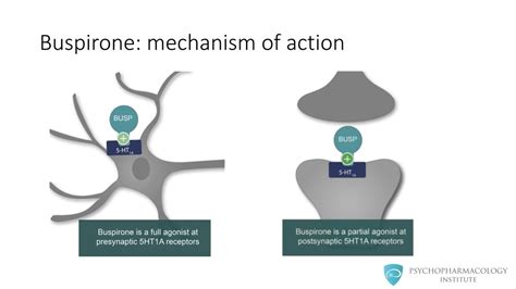 Buspirone mechanism of action