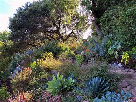 California Landscape