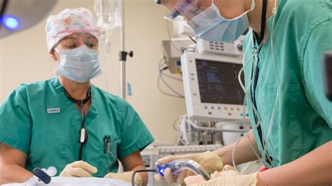California Nurse Anesthetist Conclusion