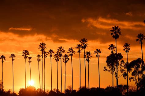 California sunset times