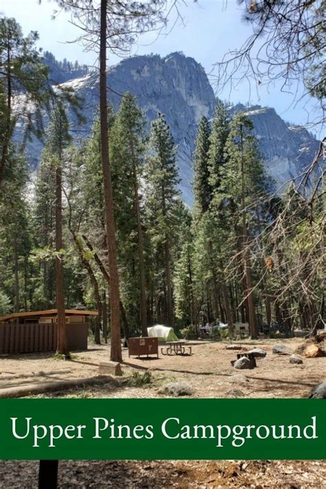 Campground Rules at Upper Pines