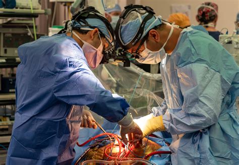 Cardiac transplantation