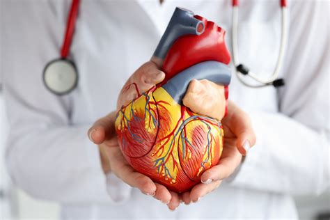 Cardiology