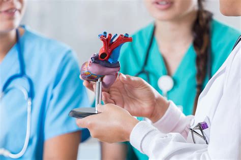 Cardiovascular Services