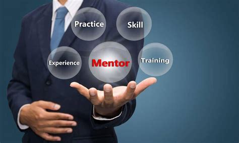career mentorship