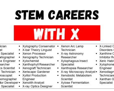 Careers Beginning With C