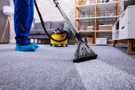 Carpet Cleaner