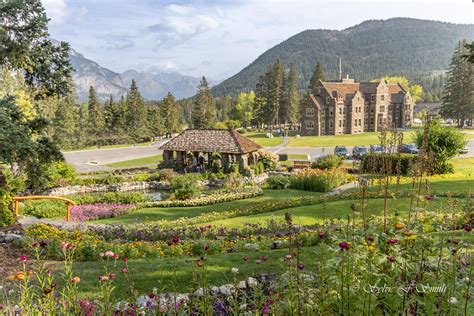 Cascade of Time Garden