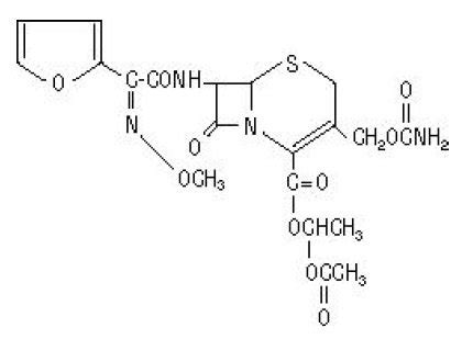 Cefuroxime Axetil Mechanism