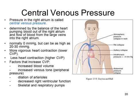 Central Venous Pressure Range