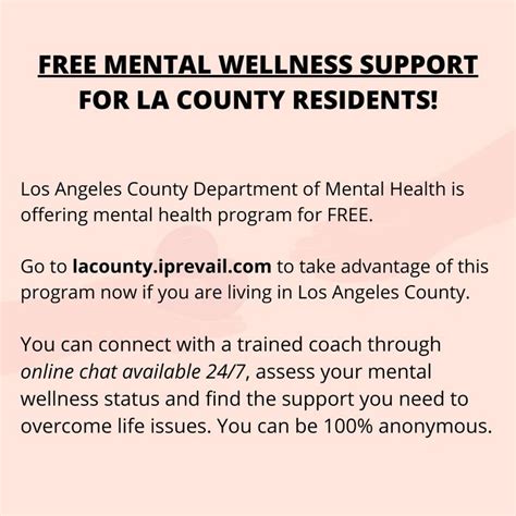 Challenges in Providing Mental Health Services in Los Angeles County