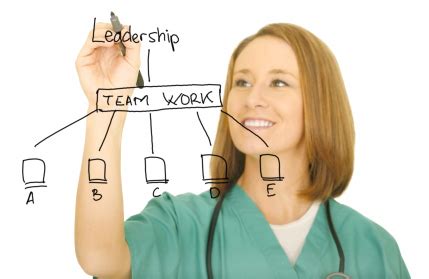 Charge Nurse Leader