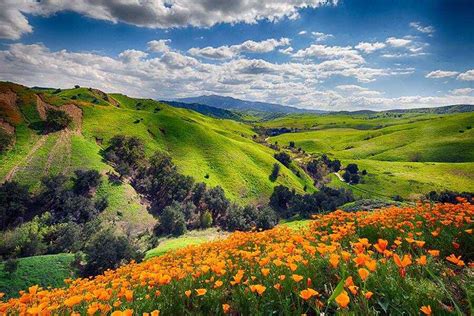 Chino Hills State Park