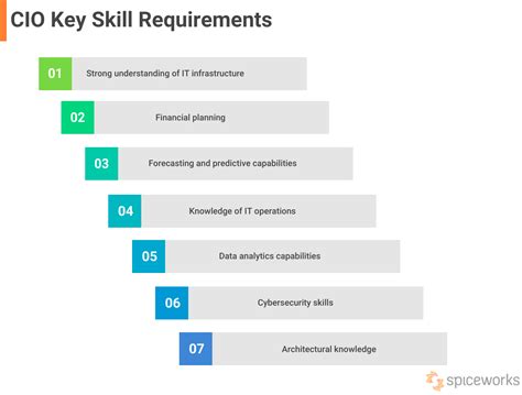 CIO Skills