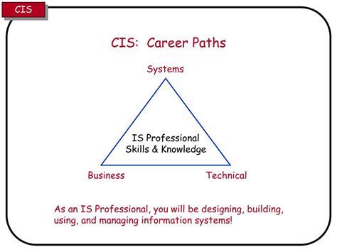 CIS Career Paths