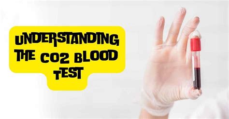 Low CO2 Blood Test Results