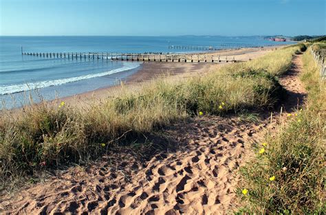 Coastal Dunes