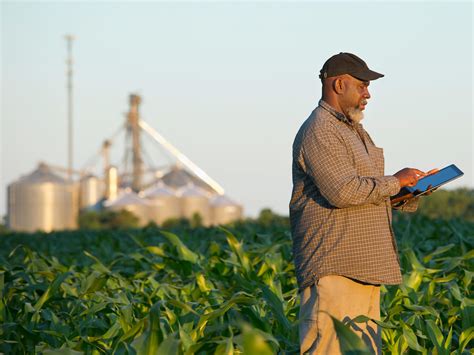 Commodity Buyer
