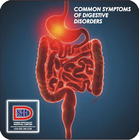 Common Digestive Disorders