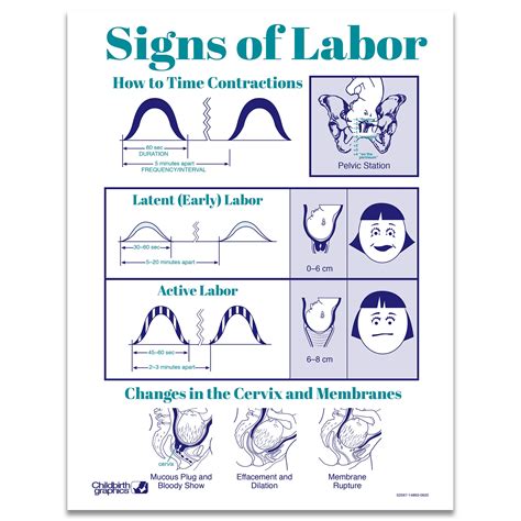 Common Signs of Labor