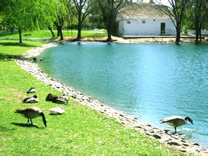 Community Event at Elk Grove Regional Park