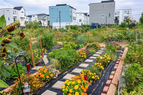 Community garden and sustainability