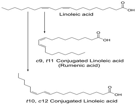 Conjugated Linoleic Acid