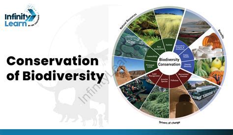 Conservationist