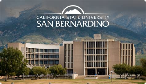 CSUSB Skills and Experience