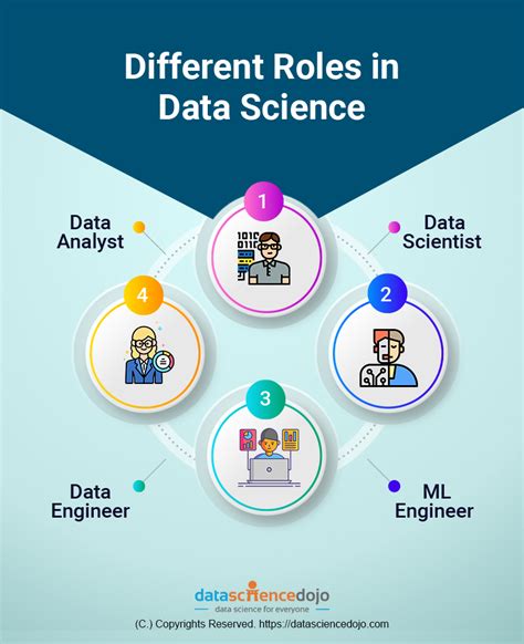 Data Scientist Roles
